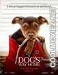 A Dogs Way Home (2019) Hindi Dubbed Movie