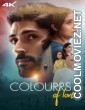 Colourrs of Love (2024) Hindi Movie