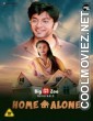 Home Alone (2021) BigMovieZoo Original