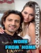 Work From Home (2022) NiksIndian Original