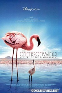 The Crimson Wing Mystery of the Flamingos (2008) Hindi Dubbed Movie